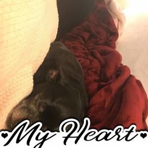 Meet your Posher, Marsha